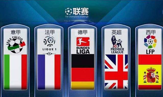 以应对国际